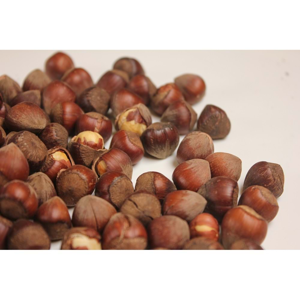 Sade Çıtlama Fındık 500 Gr
