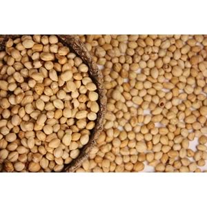 Pikola Fındık 500 Gr