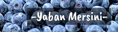 yaban mersini,ligarba,likapa,blueberry