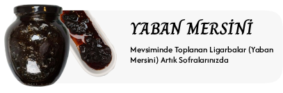 yaban mersini,ligarba,likapa,blueberry